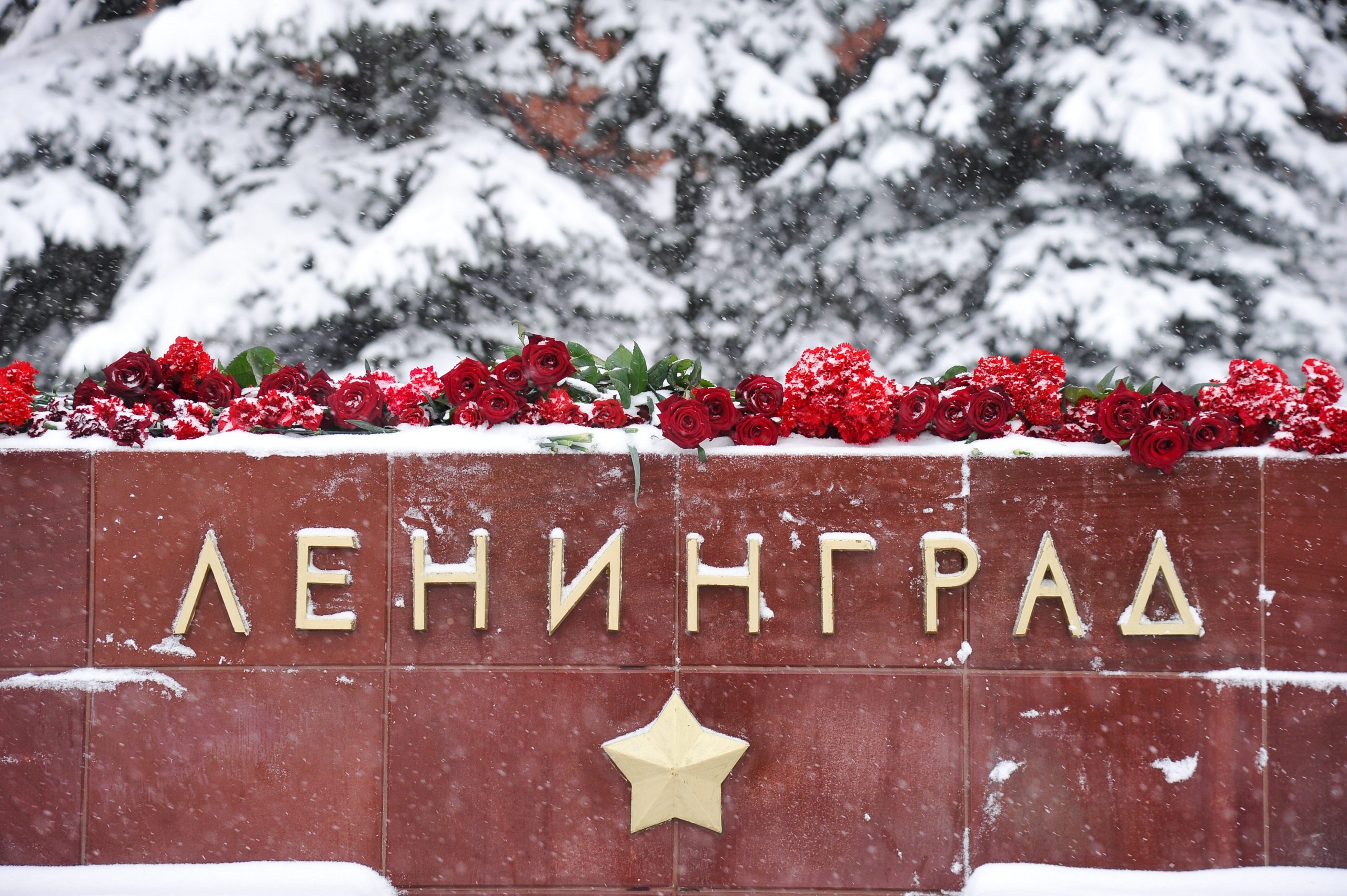 Три жительницы Алтуфьева приняли участие в мемориальной акции «Блокадные окна»