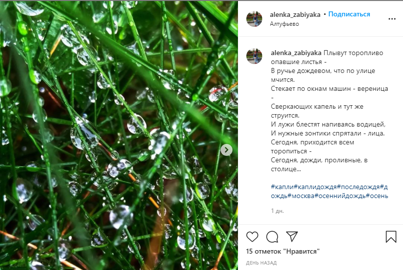 Фото дня: природный микромир в Алтуфьеве