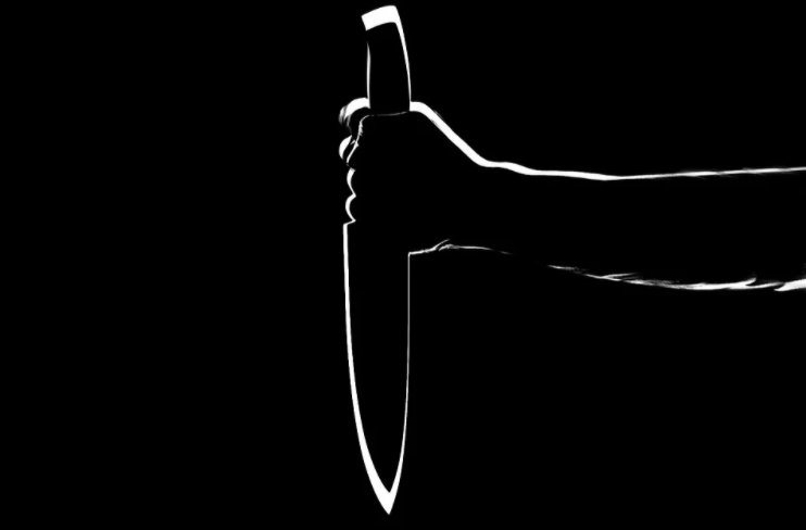 Внук зарезал бабушку на Алтуфьевском шоссе из-за 80 тысяч рублей и попытался ее расчленить