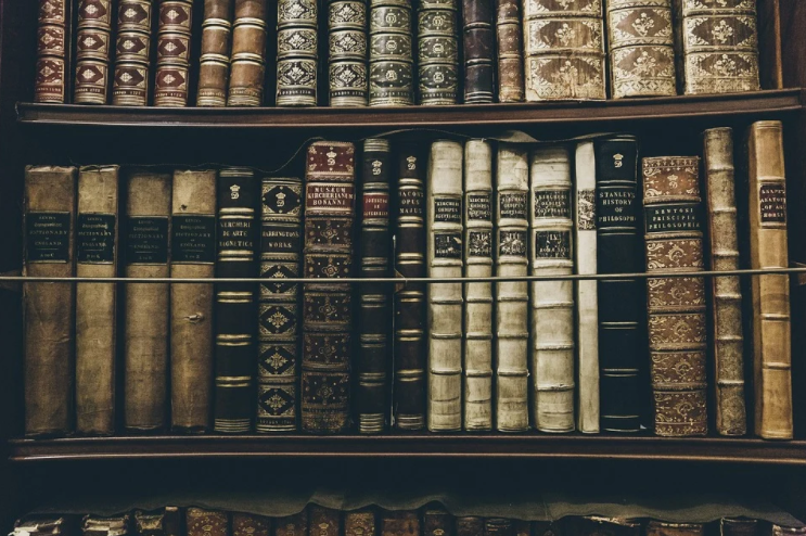 Новый курс по истории, искусству и краеведению открылся для пенсионеров из Алтуфьева